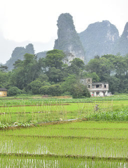 �H������(qi��ng)����Ƽ����޹�˾