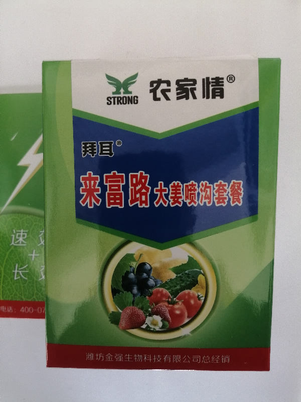 �󽪇����ײ�