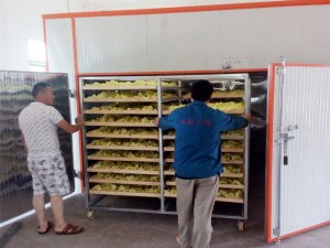 花卉烘干機(jī) 